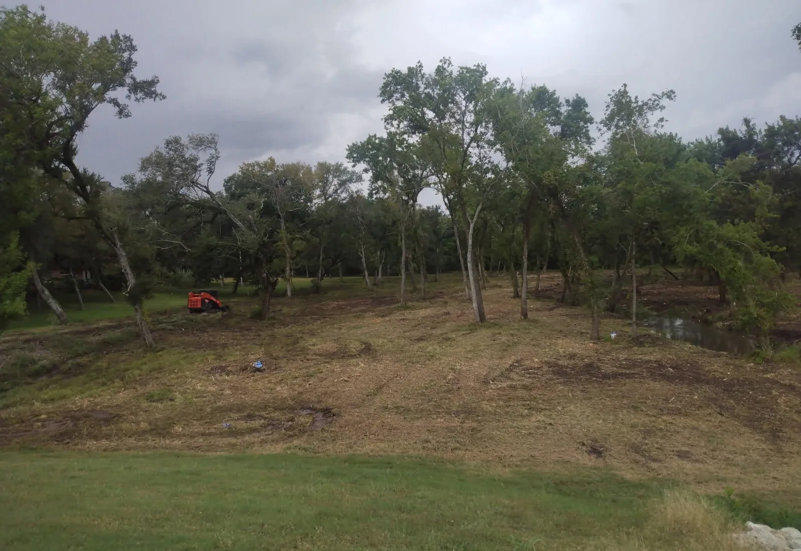 Understory cleared out from under the oaks on a lot, our track loader at the back