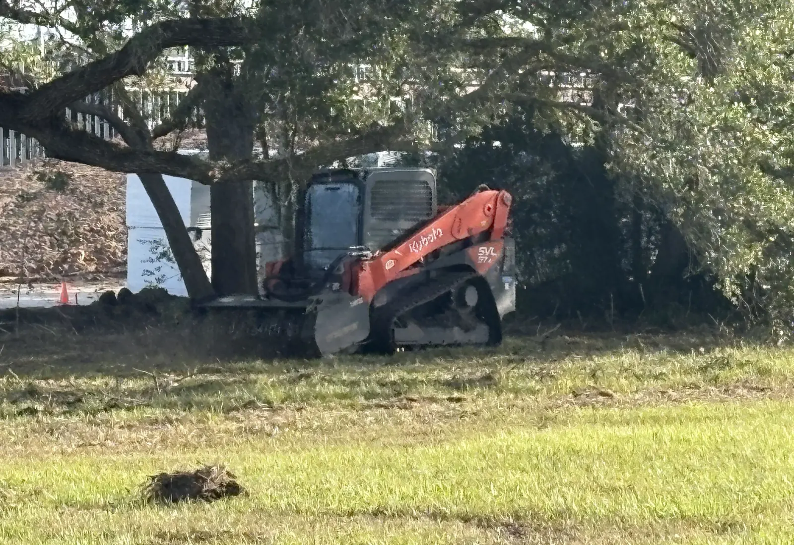 Our Kubota track loader with its brush head parked under live oaks